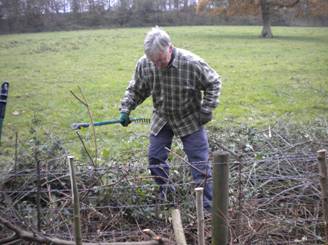 Hedge Laying Finished